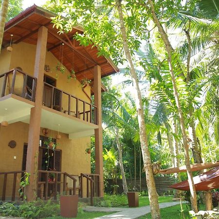 Limecabanas-Srilanka Habaraduwa Central Kültér fotó