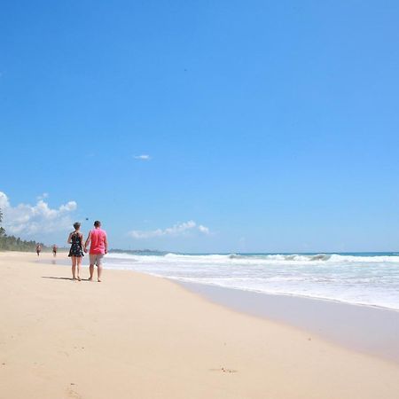 Limecabanas-Srilanka Habaraduwa Central Kültér fotó