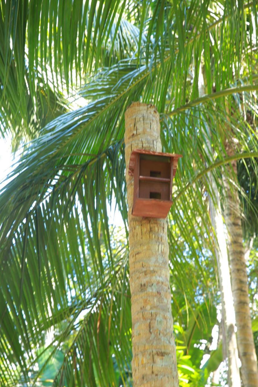 Limecabanas-Srilanka Habaraduwa Central Kültér fotó