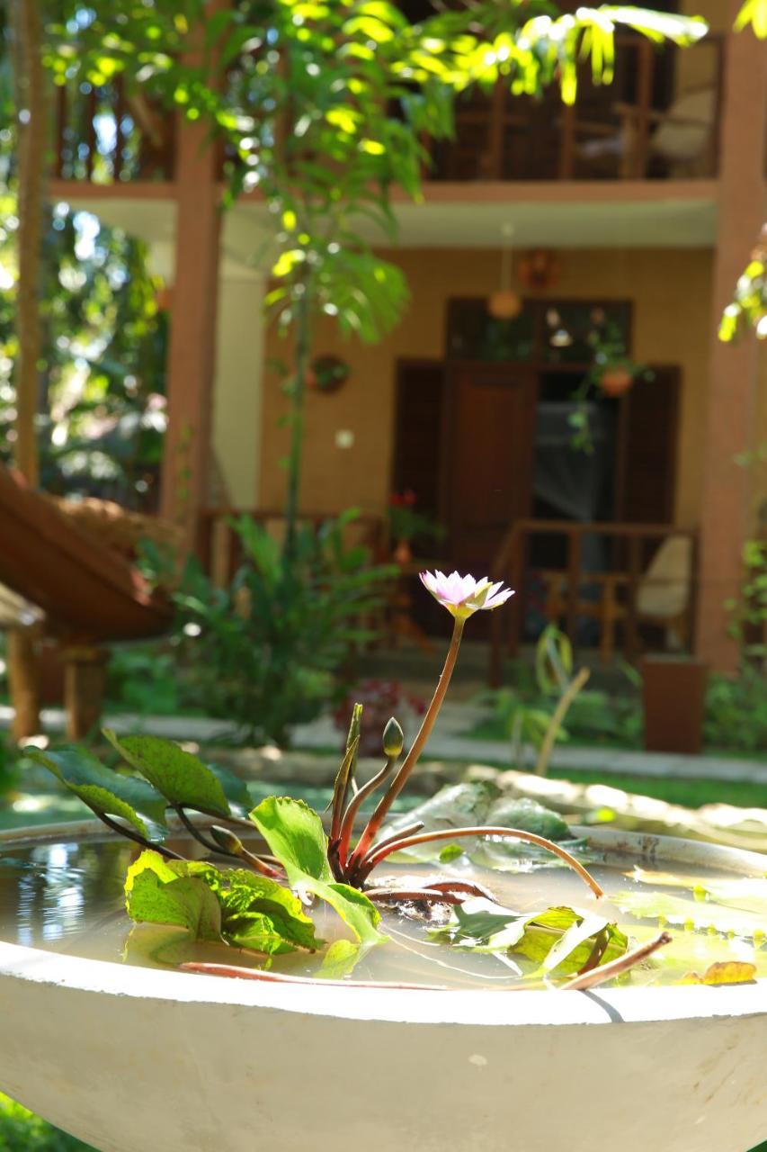 Limecabanas-Srilanka Habaraduwa Central Kültér fotó