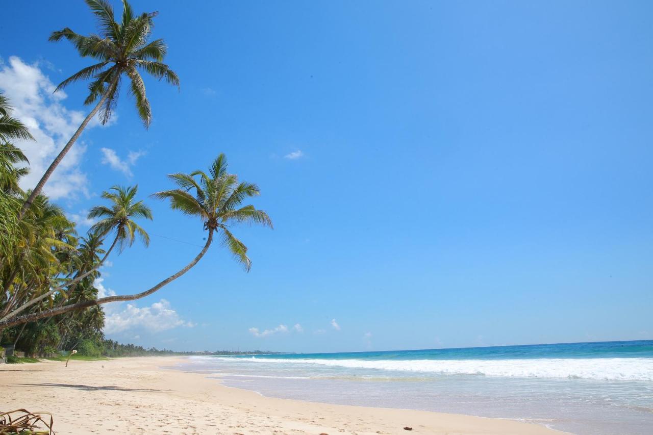 Limecabanas-Srilanka Habaraduwa Central Kültér fotó